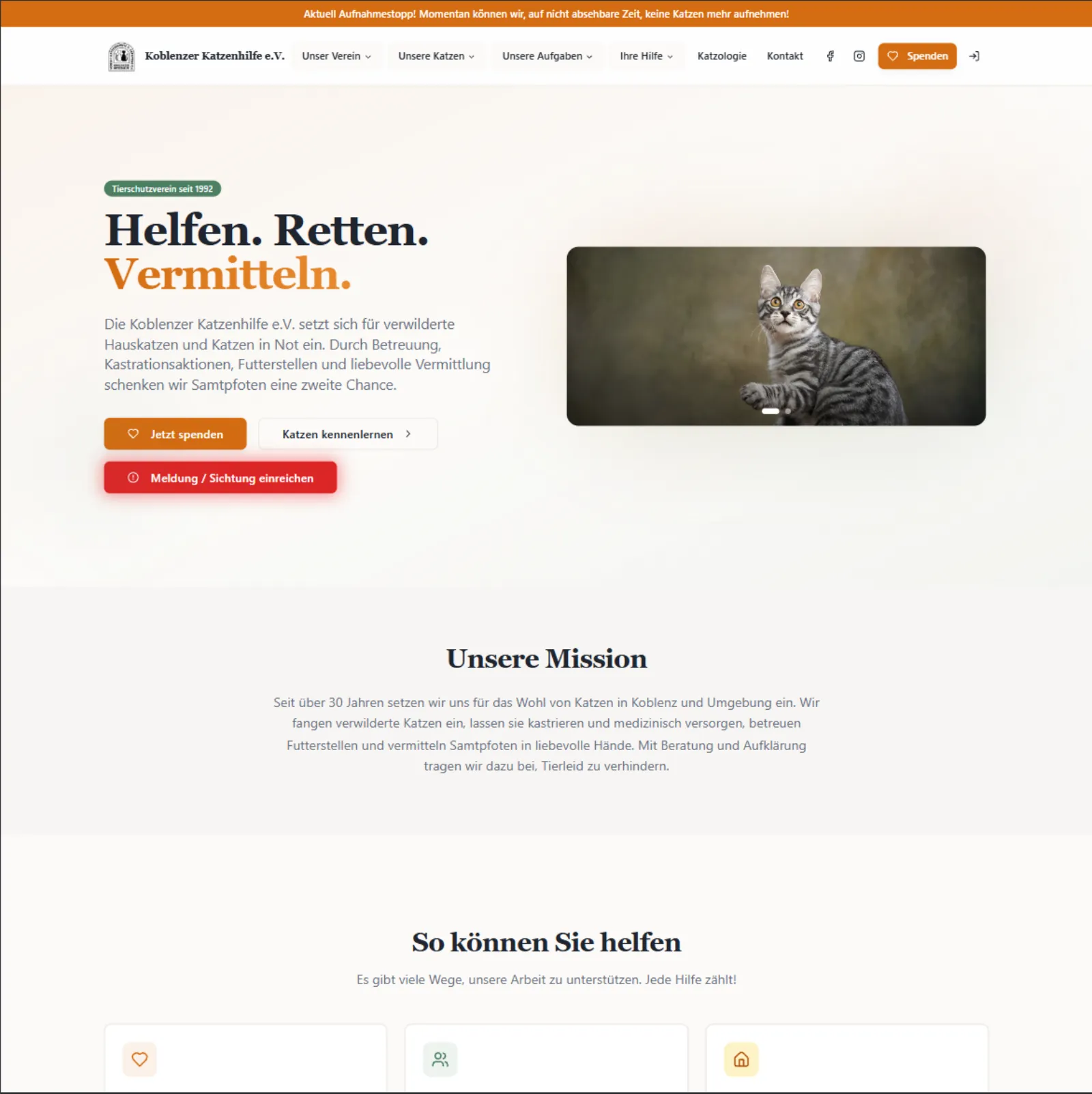 Website-Referenz Koblenzer Katzenhilfe